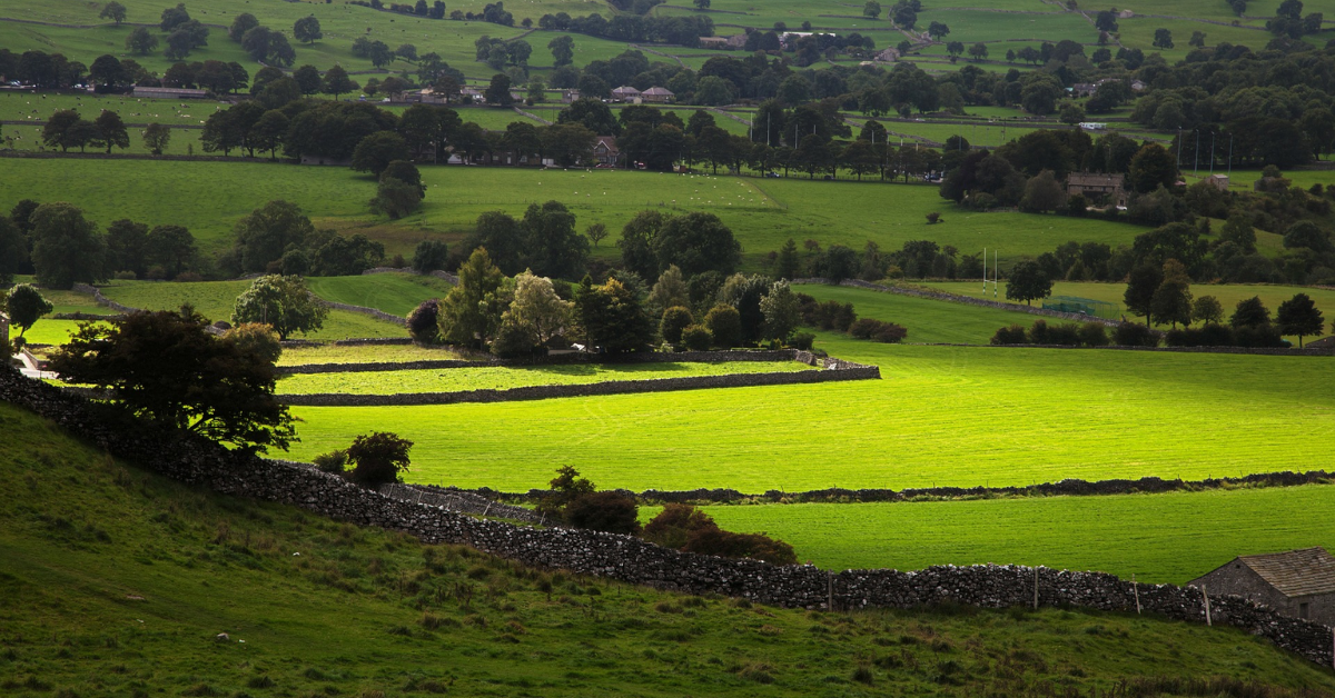 Countryside