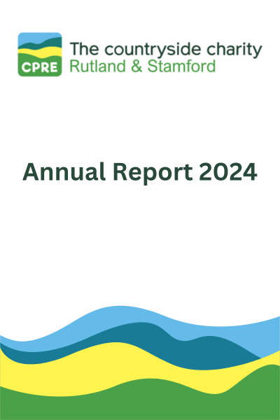 Annual Report 2024