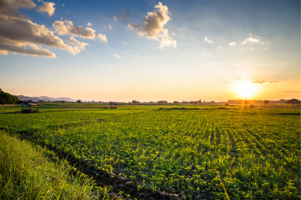 Farming & Environment